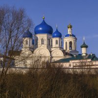 Купола Боголюбовского монастыря :: Сергей Цветков