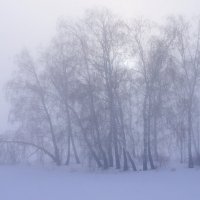 Вечерний туман. :: сергей 