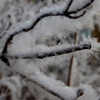 Вода - агрегатное состояние твердое (лёд) :: Дмитрий (Горыныч) Симагин