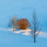 Лучи :: Любовь Перевозникова