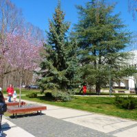 Симферополь,весна,парк  ДКП :: Валентин Семчишин