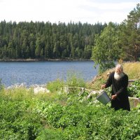 Сеять и поливать доброе, вечное :: Сергей Никифоров