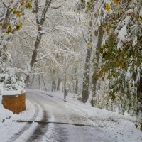 В снежном плену..... :: Юрий Цыплятников