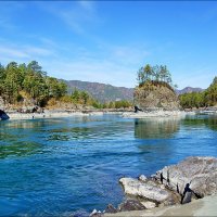 Катунь. Кедровый остров :: Виктор Четошников