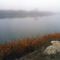 Река Коелга. Осень :: Олег Сонин