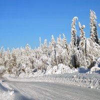 Дорога в сказку. :: Светлана Иванчина