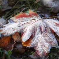 И у самой двери рая он поймет, что умирает. Как же можно после бала, после бала... :: Наталия Шишкина