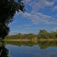 Летний вечер. :: Владимир Михайлович Дадочкин