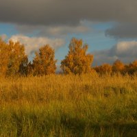 *** :: Олег Семенцов