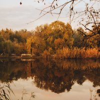 Осень  в городе моем :: Санька Климова