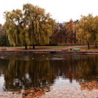 Осень в парке у пруда :: Паша Кириченко