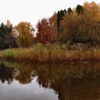 Осень в парке у пруда :: Паша Кириченко