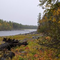 *** :: Александр Хаецкий