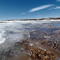 Про вешние воды.. :: Андрей Заломленков (настоящий) 