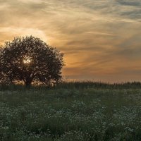 Закатное. :: Андрей Андрианов