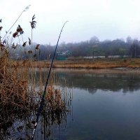 На рыбалке :: Юрий Гайворонский