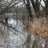 Большая вода на Оке. :: Борис Митрохин