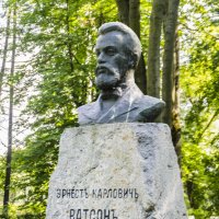 Доктор Ватсон похоронен на Литераторских мостках Волкова кладбища в Санкт-Петербурге :: Стальбаум Юрий 