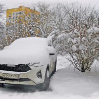 В Петербурге снова снежный коллапс. :: Лия ☼