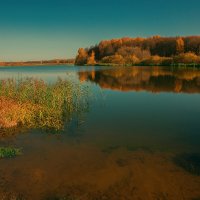 Утро на реке Костромка. :: Николай Феофанов