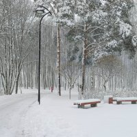 В парке после снегопада :: Мария Васильева