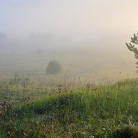 Туман в долине :: Василий Колобзаров