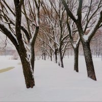 Снежное очарование... :: Sergey Gordoff