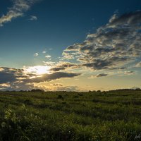 В поле. :: Андрей Андрианов