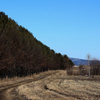 Дорога уходит в даль. :: Радмир Арсеньев