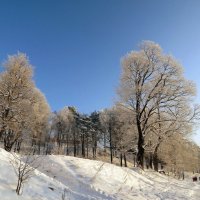 Зима не хочет уходить :: Вера Щукина