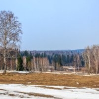 Весной в тайге :: Сергей Борисович 