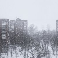 Заснеженный район :: Алексей Л