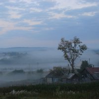 ОЙ, ТУМАНЫ МОИ, РАСТУМАНЫ... (раннее августовское, уже грибное утро в Ульяновской области) :: Александра Фомина