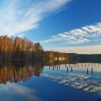 Поздняя осень..... :: Юрий Цыплятников