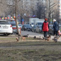 Мелкие на прогулке :: Oleg4618 Шутченко