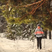 Одинокая лыжница :: Сергей Царёв