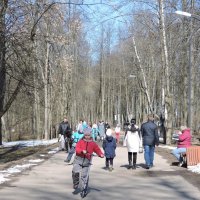 Семейные гуляния в парке. :: Мария Васильева