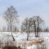 Пейзаж со снегом :: Серый 