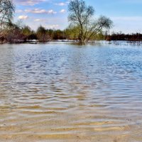 Совсем затопило! Кругом вода. :: Восковых Анна Васильевна 