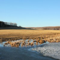 Весеннее поле :: Влад Платов