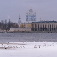 В ожидании весны. :: Олег Бабурин