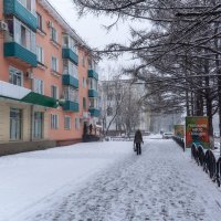 Апрель, зима вернулась. :: Виктор Иванович Чернюк