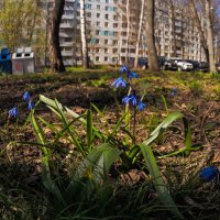 А У Нас во Дворе :: юрий поляков