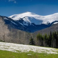 Весна в горах :: Роман Савоцкий
