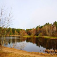 Весеннее утро :: Андрей Снегерёв