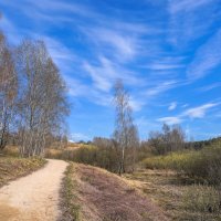 Палитра апреля... :: Владимир Жданов