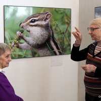 о фотоработах :: Олег Лукьянов