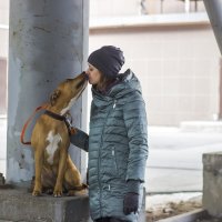 . :: Дима Пискунов