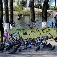 В монастыре первыми встречают голуби. :: Татьяна Помогалова