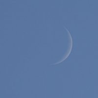 дневное соединение Луны и Венеры сегодня! :: Виталий 